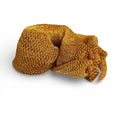 African Sapo Sponge