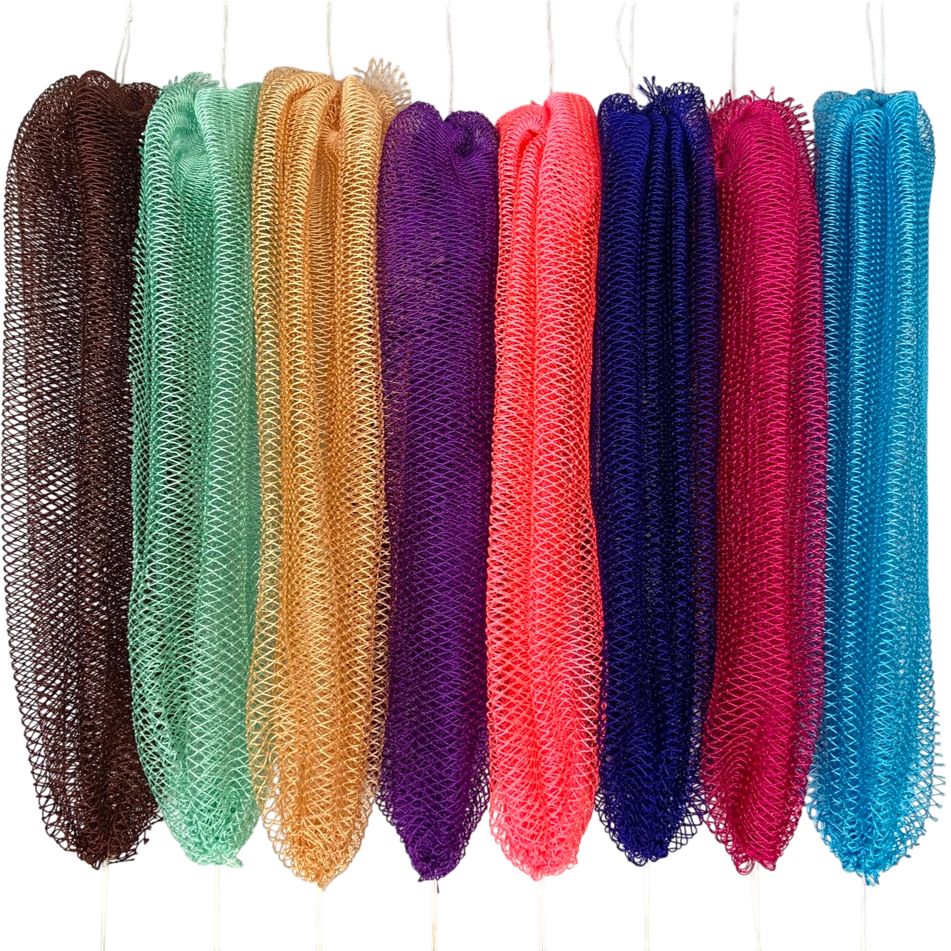 African Sapo Sponge